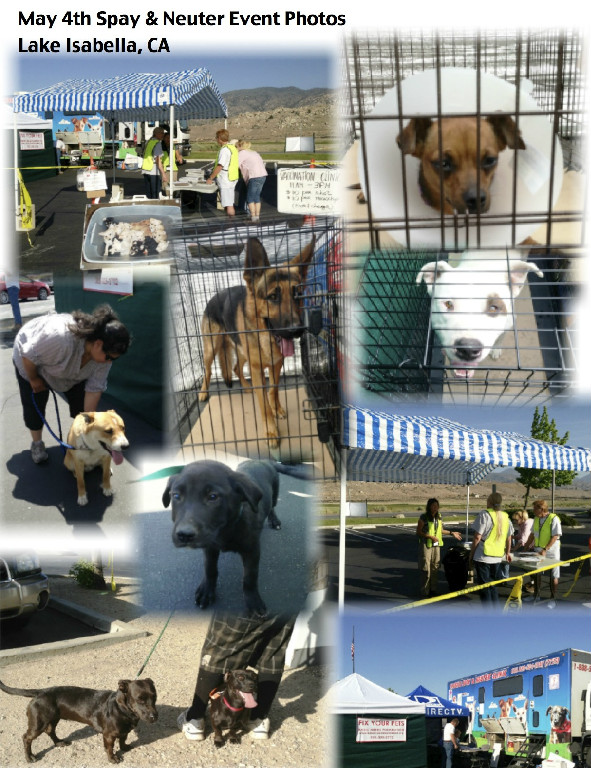 0b35f5b2be85955f6b665f5730e5d84c_sif6