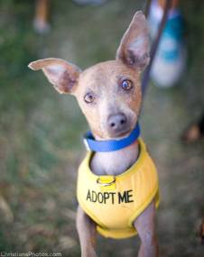 11214199_1010591845629103_2988825742633464952_n