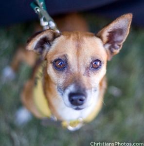 12193771_1010592255629062_6451034380994824756_n