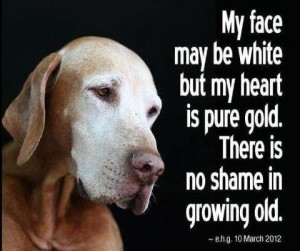 growing-old2-300x251